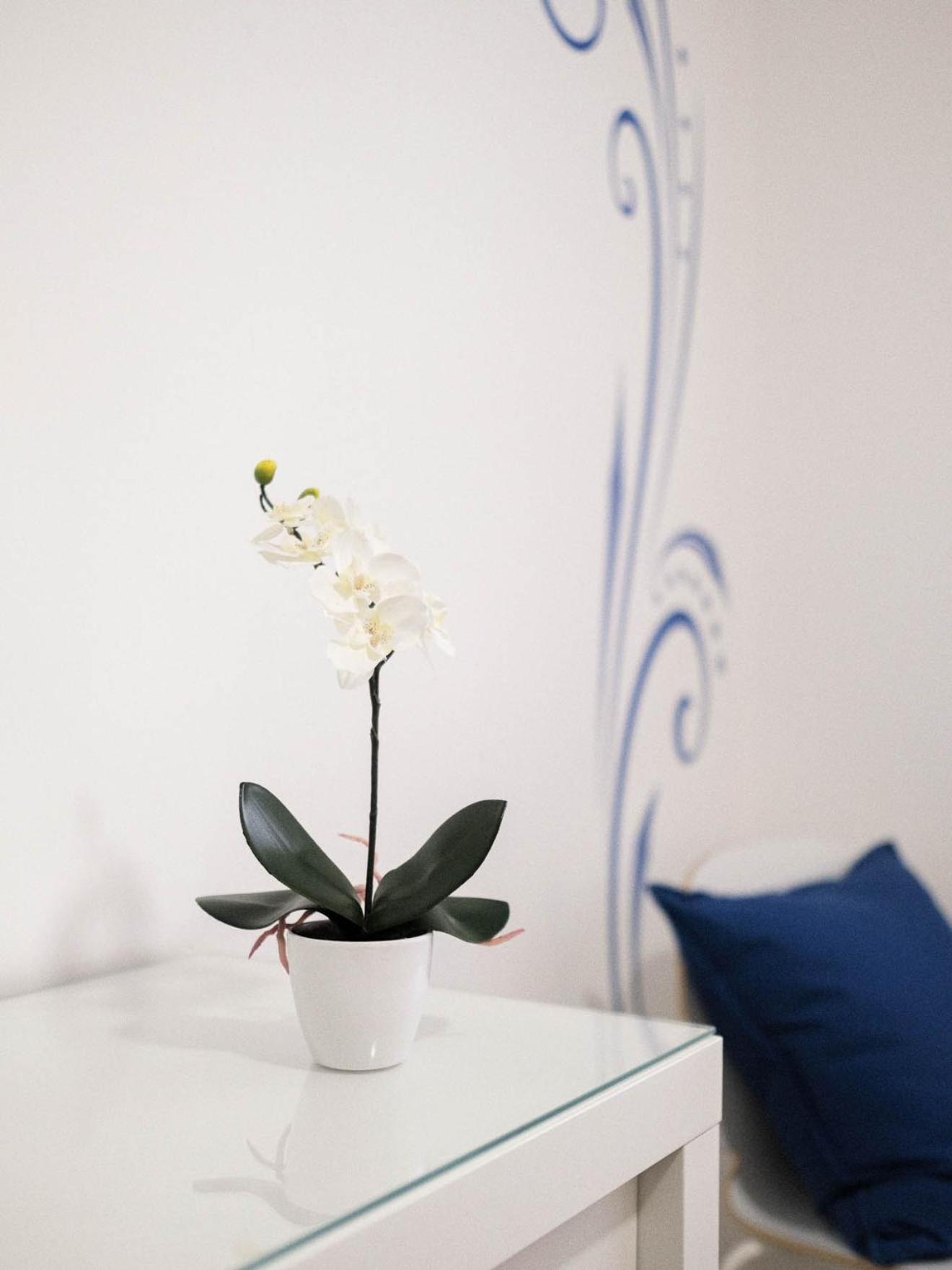 Cazenn Nazare - Apartment Z Luaran gambar